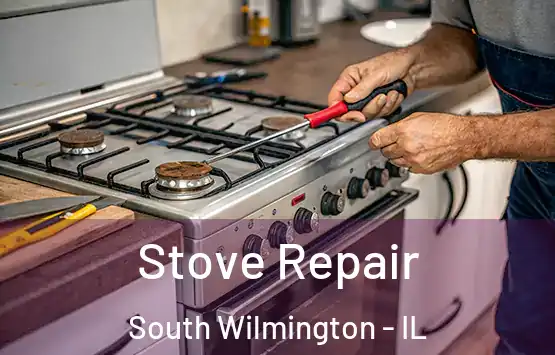  Stove Repair South Wilmington - IL