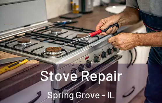  Stove Repair Spring Grove - IL