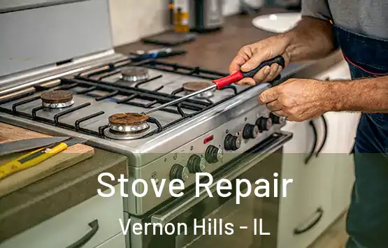  Stove Repair Vernon Hills - IL