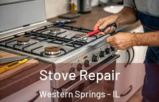 Stove Repair Western Springs - IL