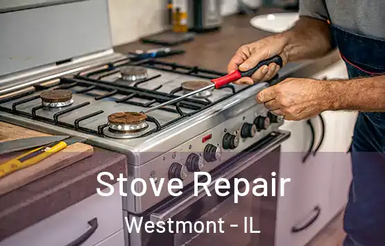  Stove Repair Westmont - IL