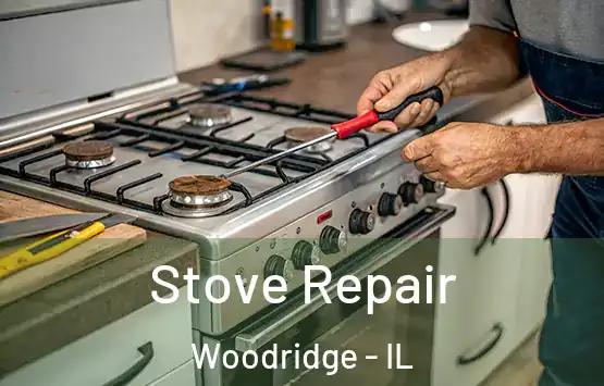  Stove Repair Woodridge - IL