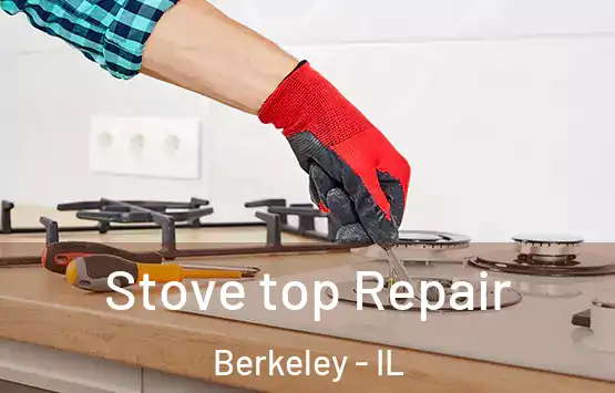  Stove top Repair Berkeley - IL