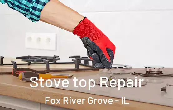  Stove top Repair Fox River Grove - IL