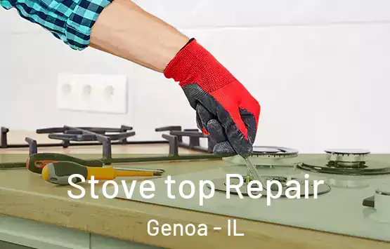  Stove top Repair Genoa - IL