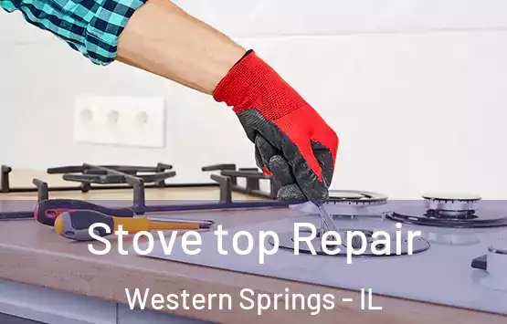  Stove top Repair Western Springs - IL