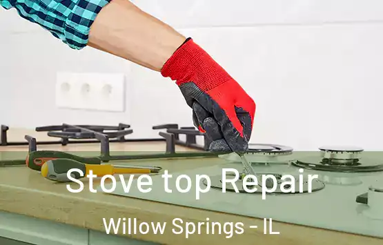  Stove top Repair Willow Springs - IL