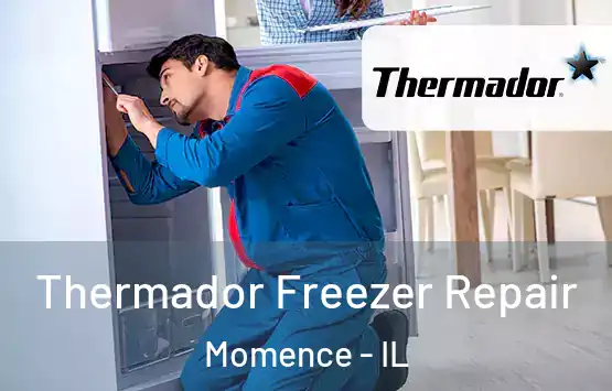  Thermador Freezer Repair Momence - IL