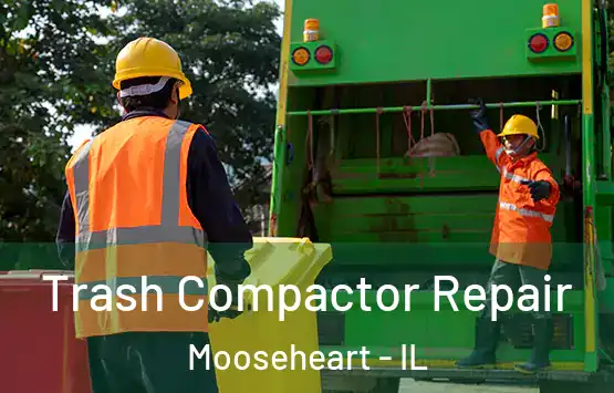  Trash Compactor Repair Mooseheart - IL