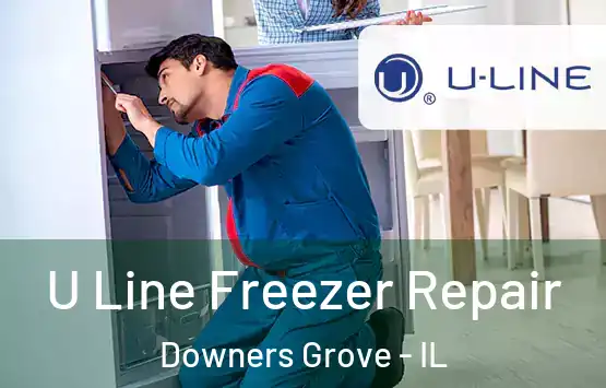  U Line Freezer Repair Downers Grove - IL