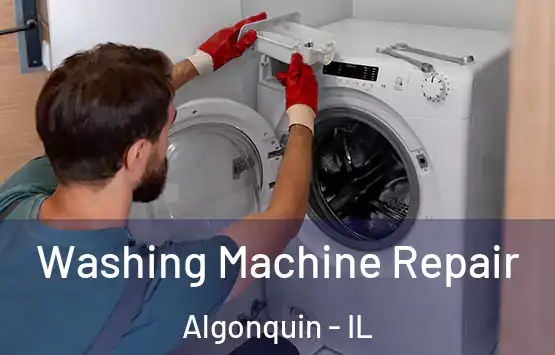  Washing Machine Repair Algonquin - IL