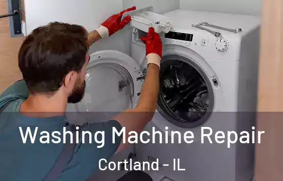  Washing Machine Repair Cortland - IL