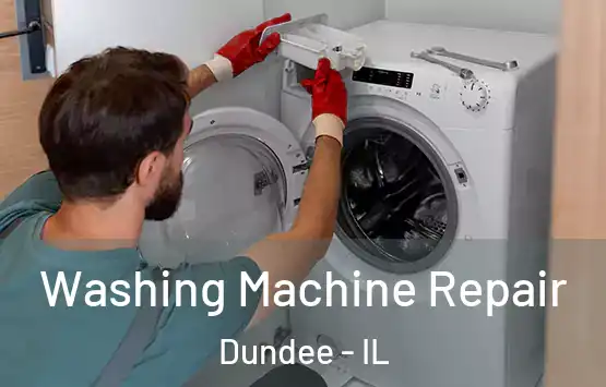  Washing Machine Repair Dundee - IL