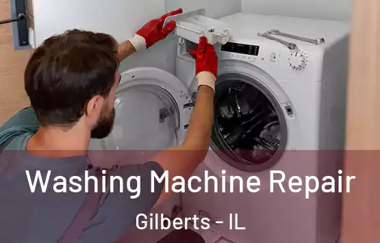  Washing Machine Repair Gilberts - IL