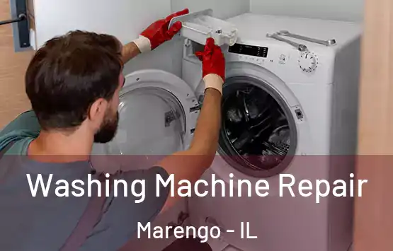  Washing Machine Repair Marengo - IL