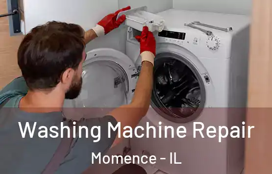  Washing Machine Repair Momence - IL
