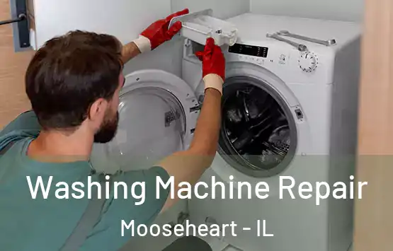  Washing Machine Repair Mooseheart - IL