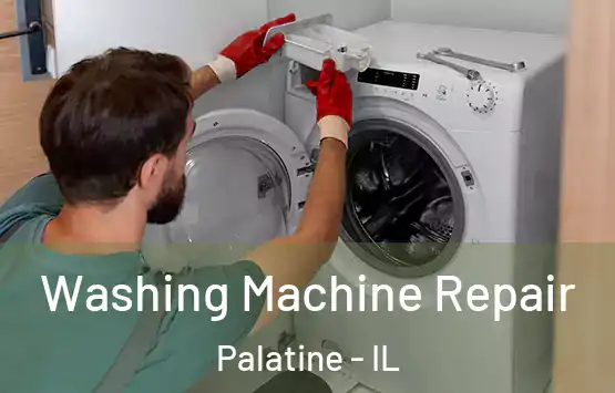  Washing Machine Repair Palatine - IL