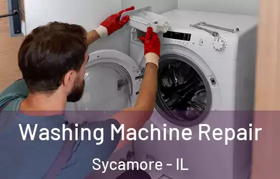  Washing Machine Repair Sycamore - IL