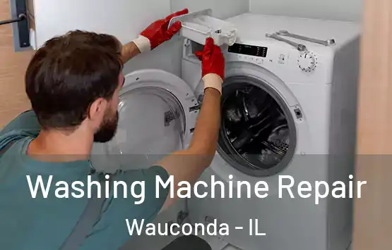  Washing Machine Repair Wauconda - IL