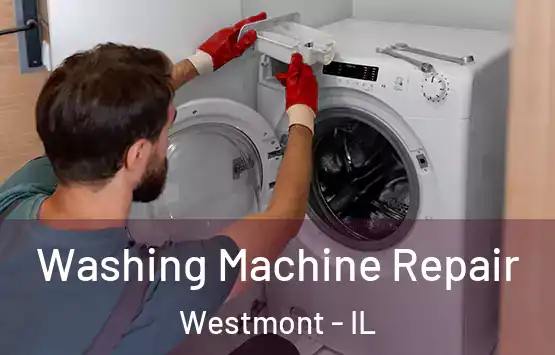  Washing Machine Repair Westmont - IL