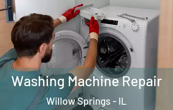  Washing Machine Repair Willow Springs - IL