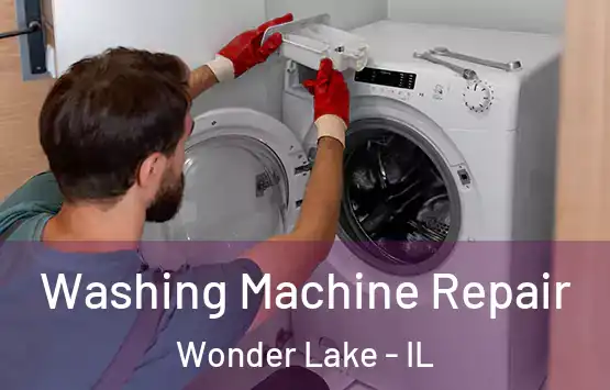  Washing Machine Repair Wonder Lake - IL