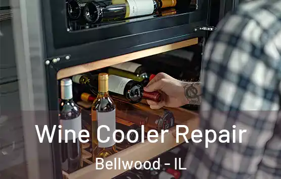  Wine Cooler Repair Bellwood - IL