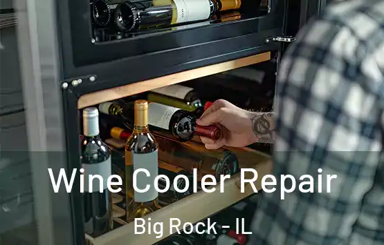  Wine Cooler Repair Big Rock - IL