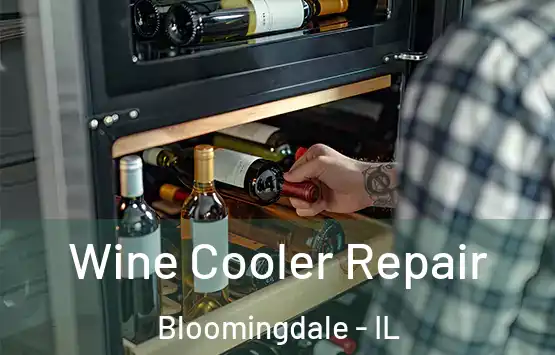  Wine Cooler Repair Bloomingdale - IL