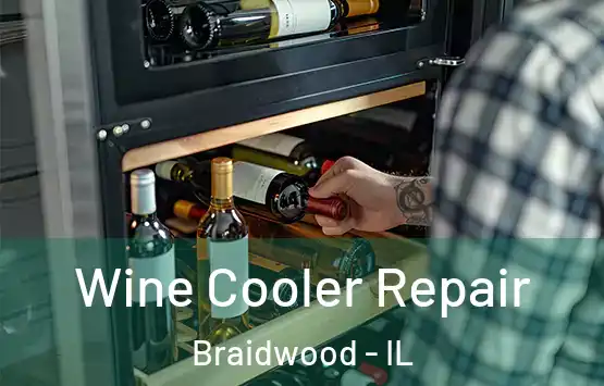  Wine Cooler Repair Braidwood - IL