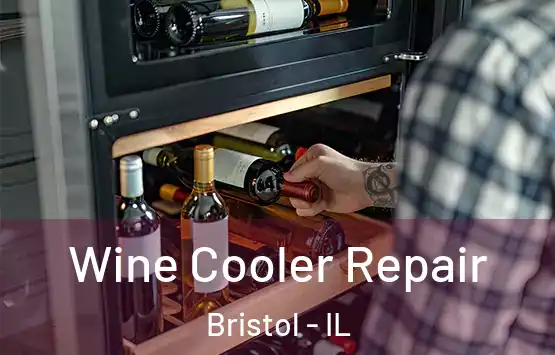  Wine Cooler Repair Bristol - IL