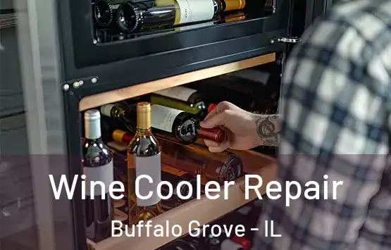  Wine Cooler Repair Buffalo Grove - IL