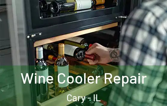  Wine Cooler Repair Cary - IL