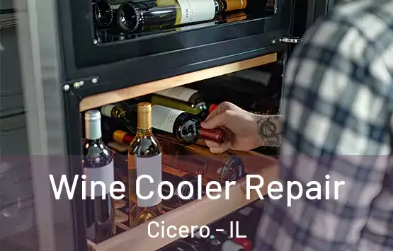  Wine Cooler Repair Cicero - IL