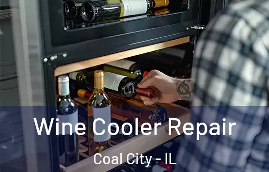 Wine Cooler Repair Coal City - IL