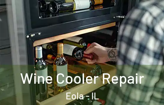  Wine Cooler Repair Eola - IL