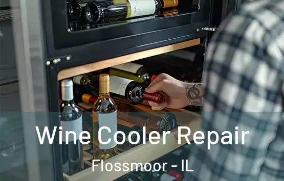  Wine Cooler Repair Flossmoor - IL