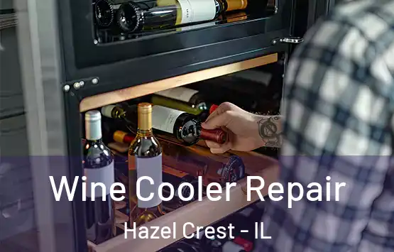  Wine Cooler Repair Hazel Crest - IL