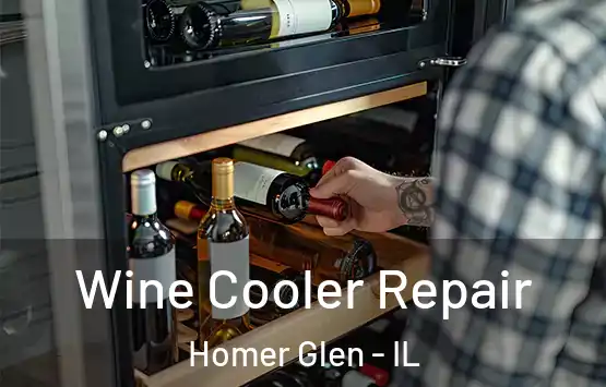  Wine Cooler Repair Homer Glen - IL