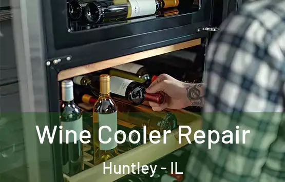  Wine Cooler Repair Huntley - IL