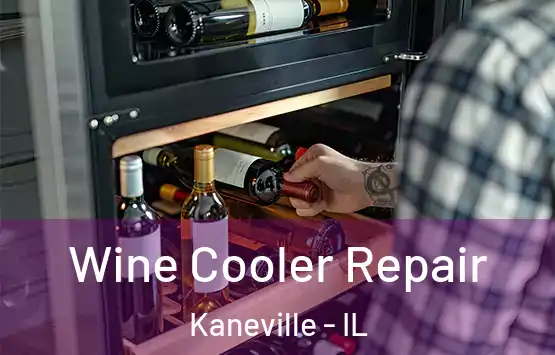  Wine Cooler Repair Kaneville - IL