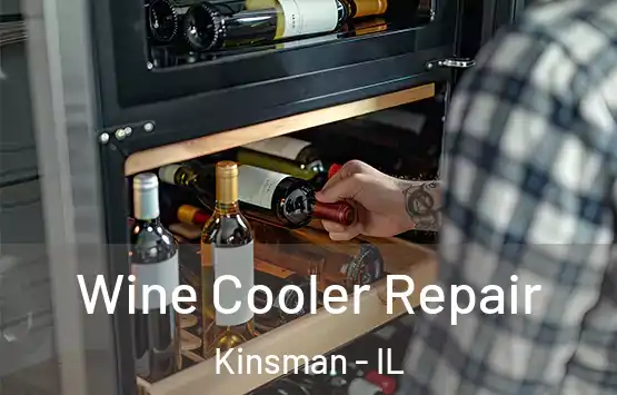  Wine Cooler Repair Kinsman - IL