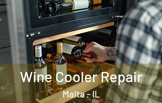  Wine Cooler Repair Malta - IL