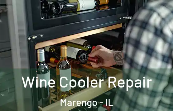 Wine Cooler Repair Marengo - IL