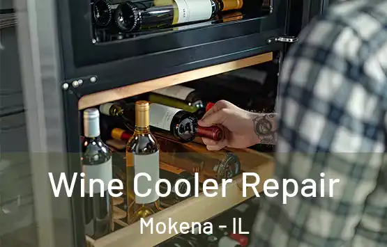  Wine Cooler Repair Mokena - IL