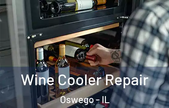  Wine Cooler Repair Oswego - IL