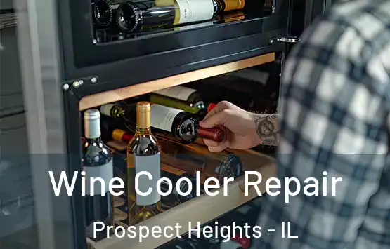  Wine Cooler Repair Prospect Heights - IL