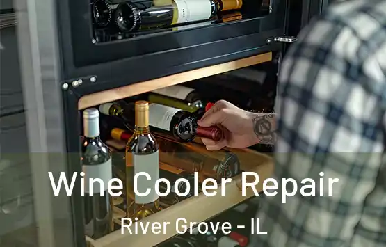  Wine Cooler Repair River Grove - IL