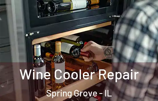  Wine Cooler Repair Spring Grove - IL